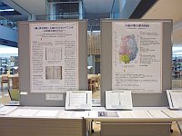 展示「郷土教育資料に描かれた岩手のことば－沿岸被災地を中心に－」会場の様子