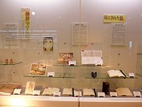 企画展「猫百変化～のら猫からばけ猫まで～」会場の様子