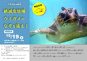 小学生向け講演会「絶滅危惧種ウミガメのなぞを追え！」ポスター画像